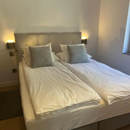 Estrella De Nieves Sierra Nevada